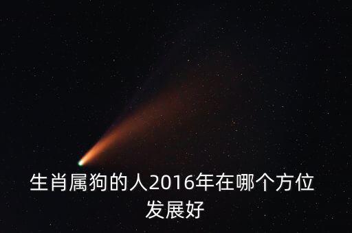生肖屬狗的人2016年在哪個方位 發展好