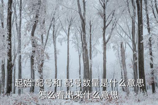  起始 配號和 配號數量是什么意思怎么看出來什么意思
