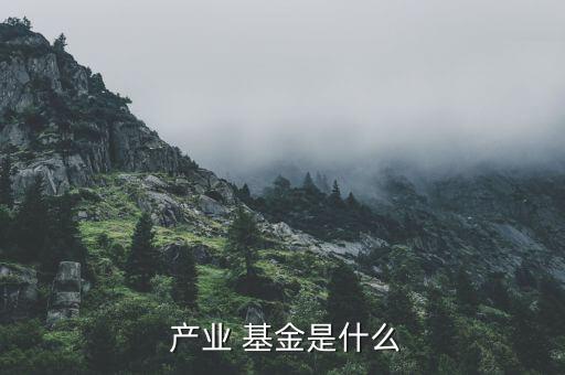 產業基金怎么成立,產業基金如何運營?專家為你解答