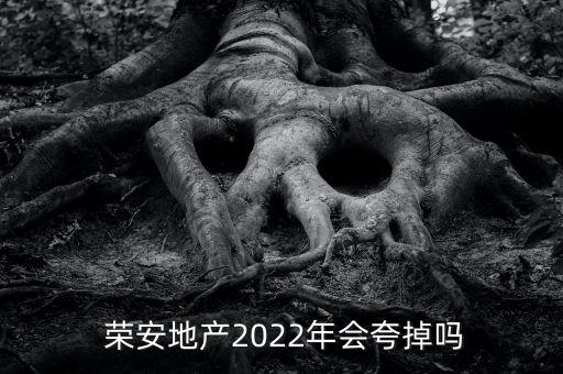 寧波榮安房子怎么樣,中國房地產開發企業百強之一扎根寧波