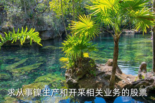 求從事鎳生產和開采相關業務的股票