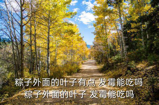 粽子發霉了怎么辦,粽子發霉不能吃宗爺發霉葉子不能再吃了