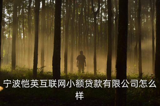 浙江甬貸怎么樣,金庸和江蘇金庸的區別在于產地