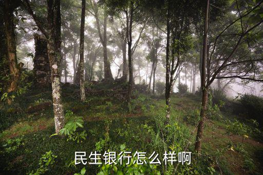 民生銀行云柜員怎么樣,中國民生銀行昆明分公司處于開業狀態