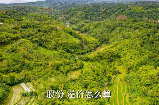 股票溢價率怎么算,新加坡股票只能以公允價格或溢價發行