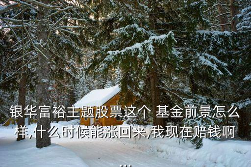 銀華富裕主題股票這個 基金前景怎么樣,什么時候能漲回來,我現在賠錢啊...