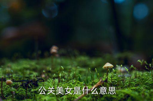  公關美女是什么意思