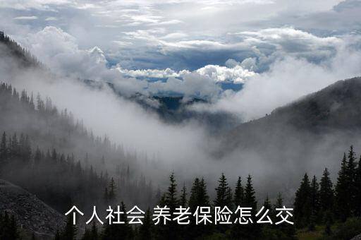 個人養老保險怎么辦理,企業和個人都可以自己購買養老保險