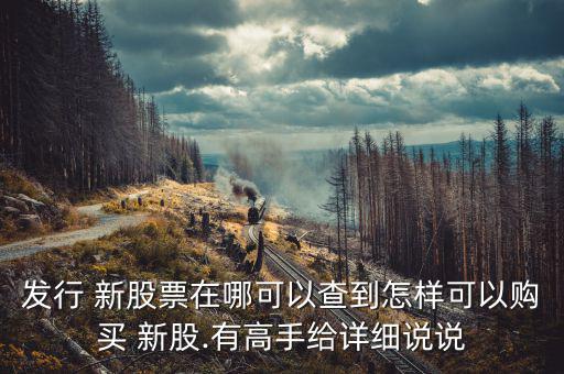 發行 新股票在哪可以查到怎樣可以購買 新股.有高手給詳細說說