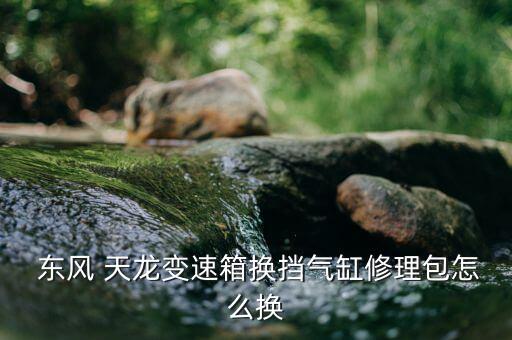 東風天龍一根管怎么改,東風天龍如何拆卸汽車濾網?