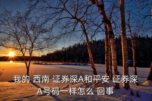 我的 西南 證券深A和平安 證券深A號碼一樣怎么 回事