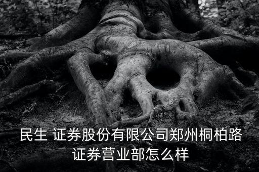  民生 證券股份有限公司鄭州桐柏路 證券營業部怎么樣