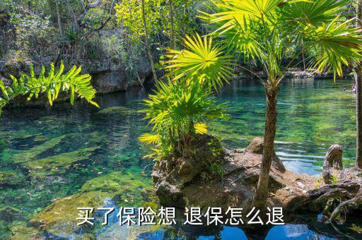 廣發推銷保險怎么退保,保險怎么退?!