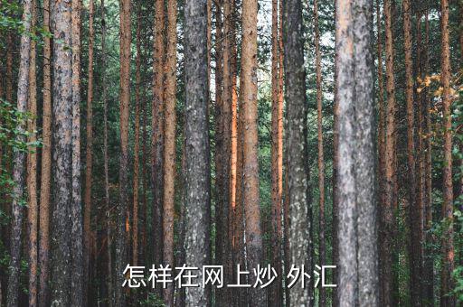 怎樣在網上炒 外匯