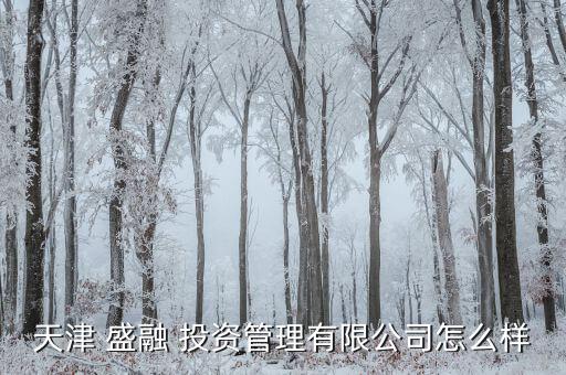 四川盛融投資怎么樣,天津盛融投資天津管理有限公司正式營業