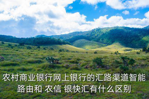 農村商業銀行網上銀行的匯路渠道智能路由和 農信 銀快匯有什么區別