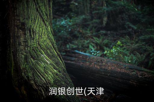 潤銀創世(天津