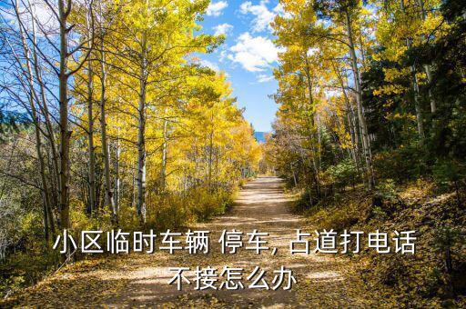  小區臨時車輛 停車, 占道打電話不接怎么辦