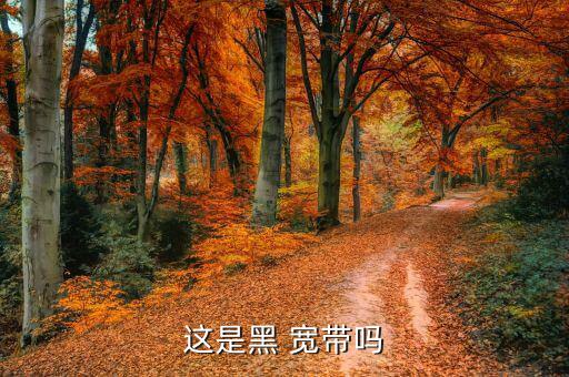 黑寬帶怎么合法化,你屬于一個小區寬帶嗎?總帶寬限制死了!