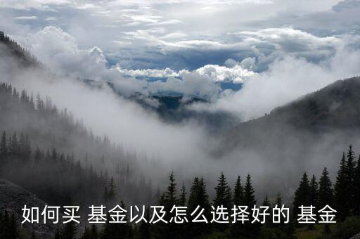 怎么選基金,如何選擇明星基金經理?