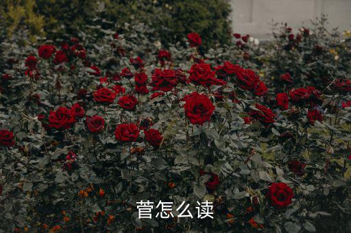 保監人命的菅在姓氏里怎么讀,曹鑒人命來源于東漢歷史故事成語