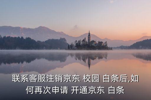 校園白條怎么開通,電腦端激活白條可通過(guò)以下路徑啟動(dòng)