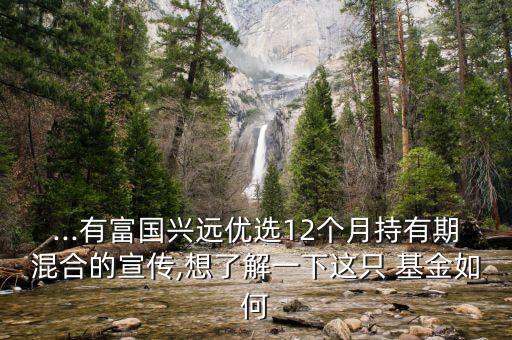 ...有富國興遠(yuǎn)優(yōu)選12個(gè)月持有期混合的宣傳,想了解一下這只 基金如何
