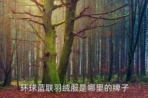 環球藍聯卡怎么填寫