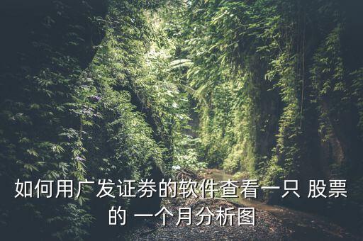 如何用廣發證劵的軟件查看一只 股票的 一個月分析圖