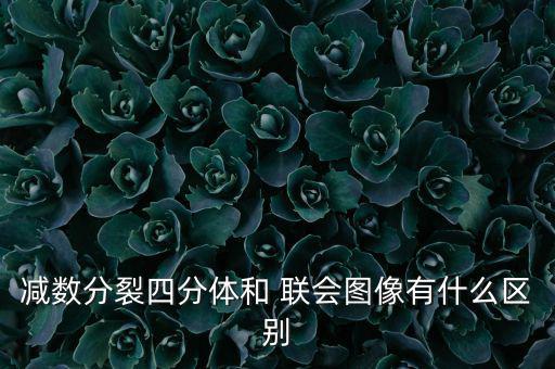 減數分裂四分體和 聯會圖像有什么區別