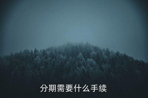 分期需要什么手續