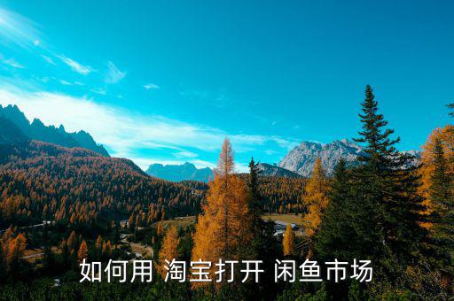 淘寶閑魚怎么發展,如何進入閑魚市場?