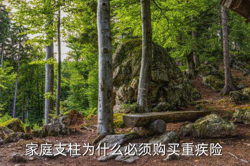 家庭支柱為什么必須購(gòu)買(mǎi)重疾險(xiǎn)