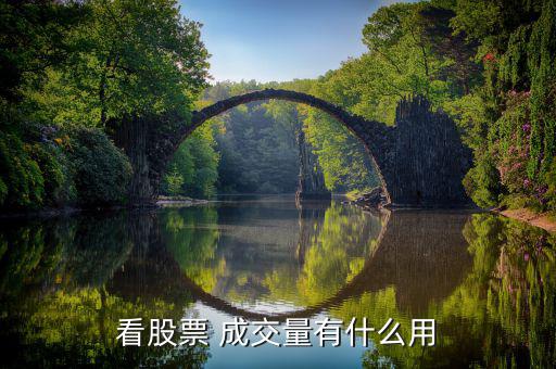 太極成交量怎么用,成交量不足以形成買賣股票依據