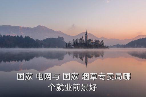  國家 電網與 國家 煙草專賣局哪個就業前景好