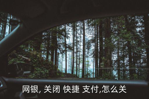 網銀, 關閉 快捷 支付,怎么關