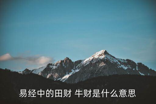 牛牛理財是什么意思，易經中的田財 牛財是什么意思