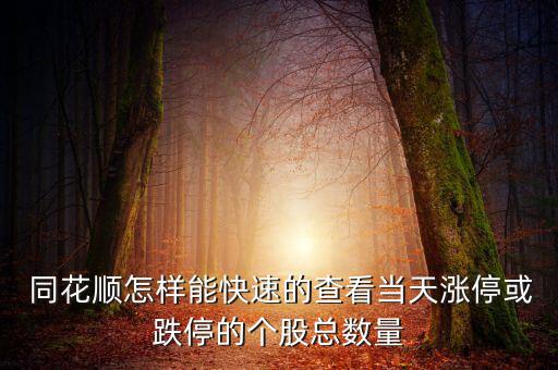  同花順怎樣能快速的查看當天漲?；虻５膫€股總數量