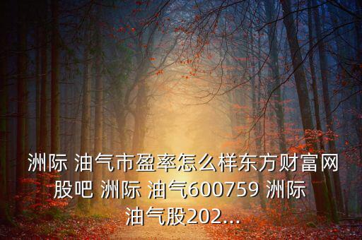 洲際油氣公司怎么樣,走出國門煉油化工企業-洲際油氣介紹一下