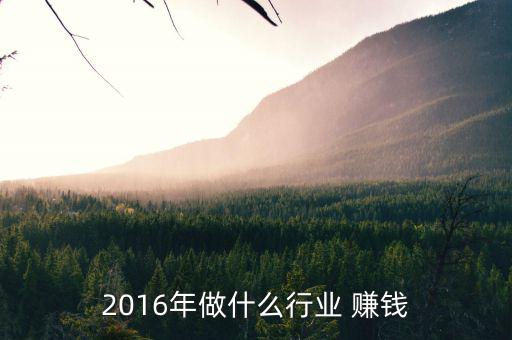2016年了我們該怎么賺錢,互聯網如何發展?