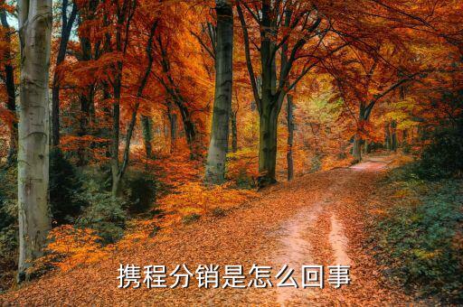 攜程是怎么掙錢的,攜程旅游網推出攜程微信商務平臺