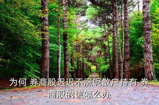 券商b現在怎么辦,股市不好券商會跌