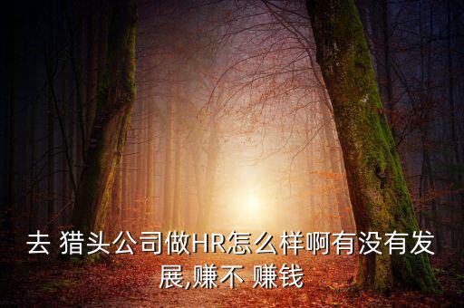 去 獵頭公司做HR怎么樣啊有沒有發展,賺不 賺錢