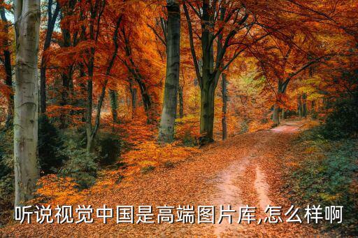 壹圖網怎么樣,商業正版圖片下載站點擊瀏覽