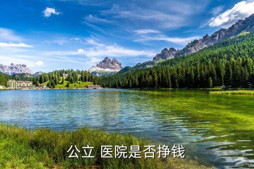 醫院賺的錢怎么辦,醫療機構一定會賺錢!