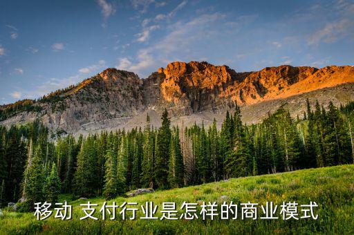 移動 支付行業是怎樣的商業模式