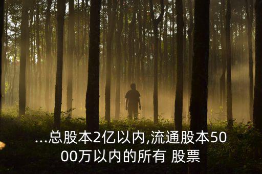 ...總股本2億以內,流通股本5000萬以內的所有 股票