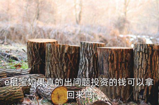 e租寶注冊有什么風(fēng)險(xiǎn)，朋友讓我給他注冊個(gè)e租包賬號安全嗎