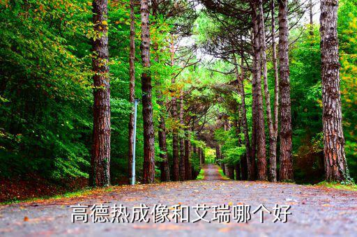 高德紅外工作怎么樣,高德紅外的發展與未來