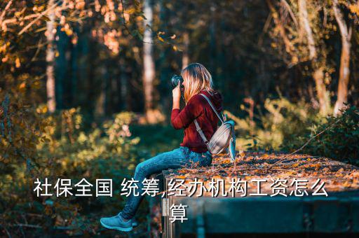 社保統籌部分怎么算,政府統籌gold繳費比例為20%